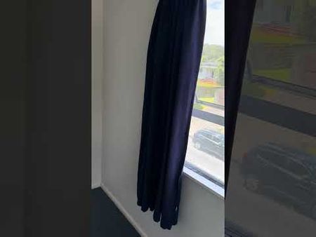 Charming 3BR Home with Garden & Deck! - Photo 5