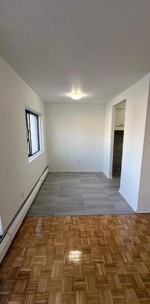 1 CH - 1 SDB - Montréal - $1,300 /mo - Photo 1