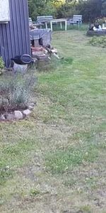 Östraby, Hörby - Foto 3