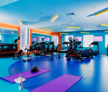 Scape Franklin, Melbourne - Photo 5