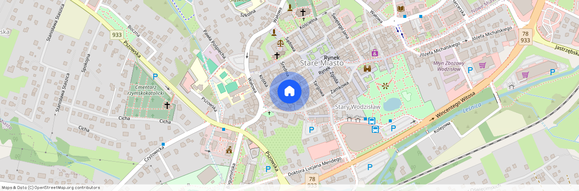 Wodzisław Śląski, wodzisławski, śląskie