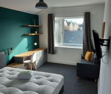 1 bedroom House share To Let - Photo 1