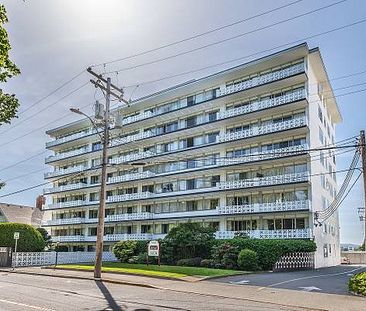 Beacon Tower - 1 Bedroom 55+ Building - Available Now - Photo 1