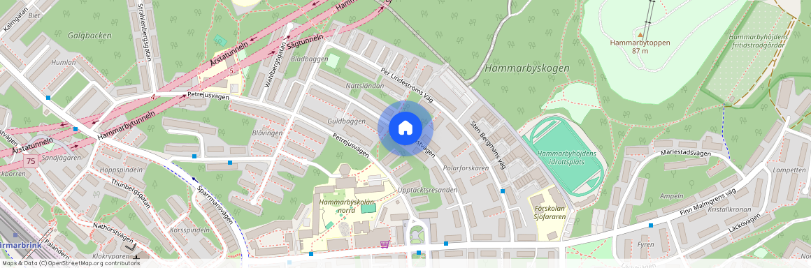 Hasselquistvägen, Johanneshov