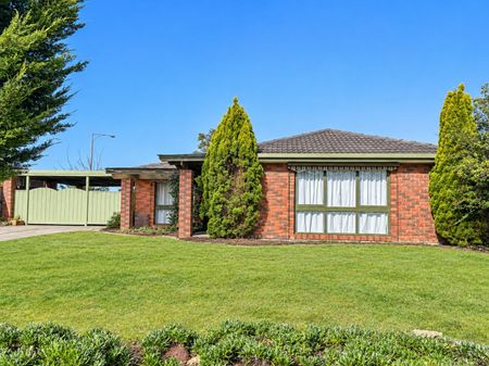 Updated Home in Prime Position - Photo 3