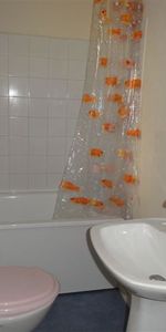 Location Appartement 1 pièce Meublé 15m² LE CREUSOT 71200 - Photo 3