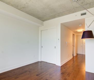 Appartement à louer - Montréal (Ville-Marie) (Village) - Photo 5
