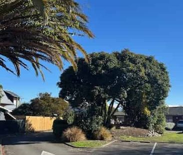 AVAILABLE NOW - 1 Large Studio Unit including power and internet - Photo 3