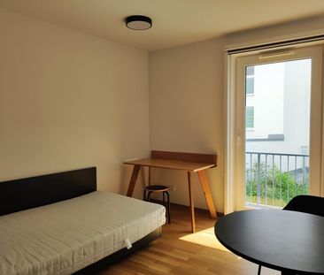 Möblierte Apartments mit Anmeldung und unbefristet - Foto 1