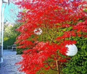 Jaktgatan, Göteborg - Foto 5