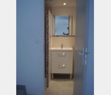 Location Appartement P1 Mezzanine Meze - Photo 5