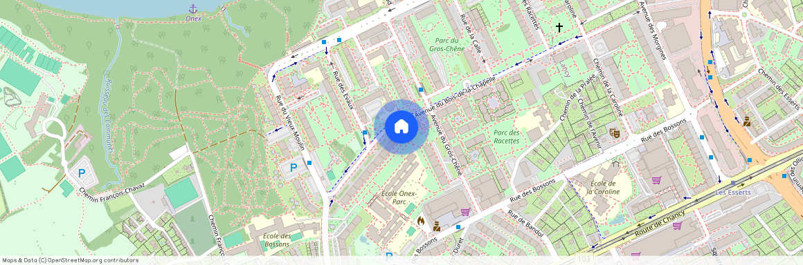 1213, Onex, Bois de la Chapelle, 61