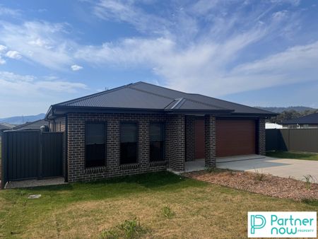 12 Hanbury Place, TAMWORTH NSW 2340 - Photo 2