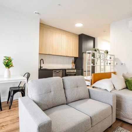 2 1/2 - Montréal (La Petite-Patrie) - 1 575 $/mois - Photo 4