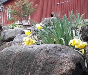 Ryttarvägen, Huddinge - Foto 2