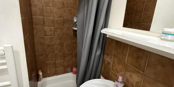 Location Appartement 1 pièce 19m² ANGERS 49100 - Photo 3