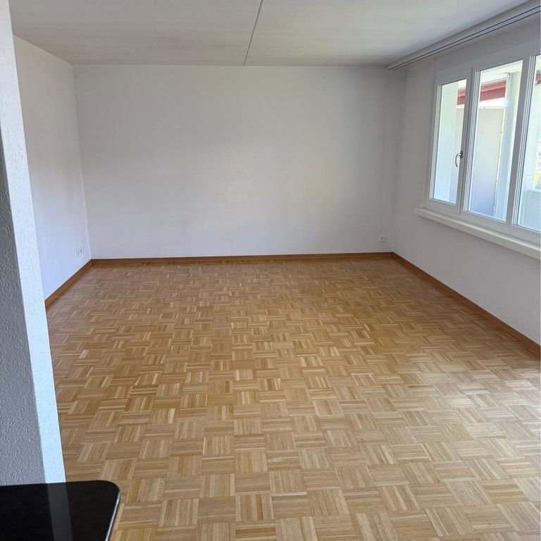 Komfortable 3.5 Zimmer Wohnung in Brugg - Photo 1