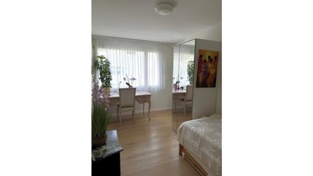 2½ Zimmer-Wohnung in Rapperswil (SG), möbliert, auf Zeit - Foto 4
