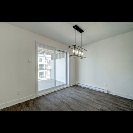 Appartement 4 1/2 à Louer, Animaux Permi - Photo 1