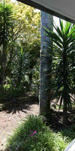 Fully Furnished Studio - Utilities Included - Photo 3