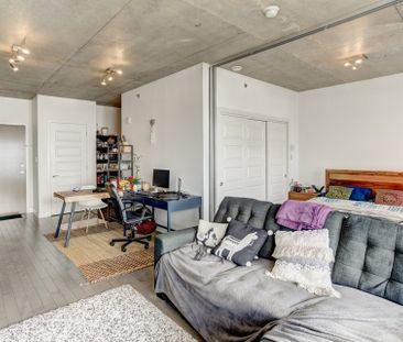 Condo for rent, Mont-Royal - Photo 1