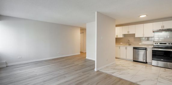 Sunny And Spacious 1 Bedroom Apartment - Saint Laurent - 135 Boulevard Deguire, Saint-Laurent - Photo 2