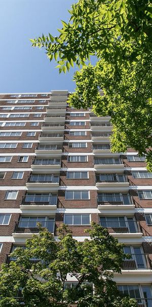 Le Plateau - 3605 St-Urbain - 2 Bedrooms - 3605 Rue Saint-Urbain, Montréal - Photo 1