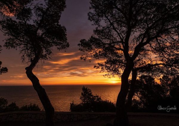 Puerto, Jávea - Xàbia, Valencian Community 03730