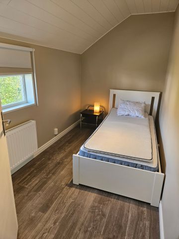 Johansgatan, Skellefteå - Foto 5