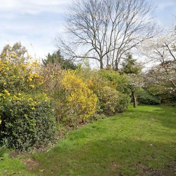 1 Bedroom Flat To Let - Photo 1