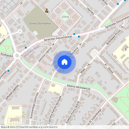 ul. Aleksandra Puszkina, Wójtowa Wieś, Gliwice, śląskie