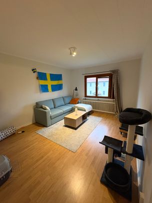 Skottsundsvägen, Kvissleby - Photo 1