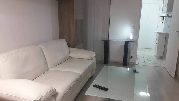 Studio 1 pièce dans le 15ème arrondissement de Paris - Photo 1