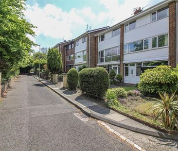 3 Bedroom House - Townhouse - Photo 4