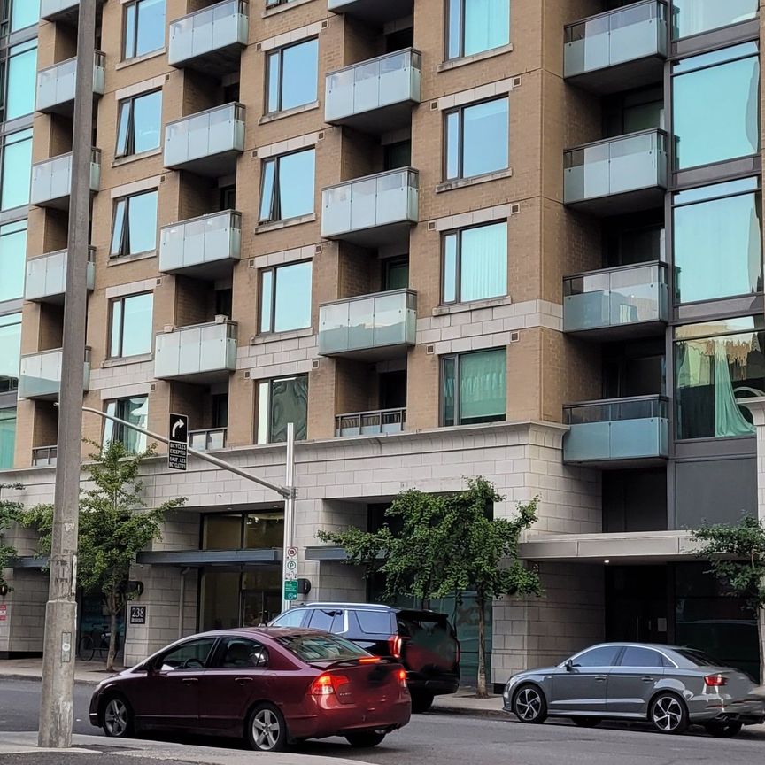 For Lease - 238 Besserer Street Unit# 312, Lower Town - Sandy Hill, Ontario - Photo 1