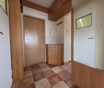 Mieszkanie na Wynajem, 39.20m - Zdjęcie 5