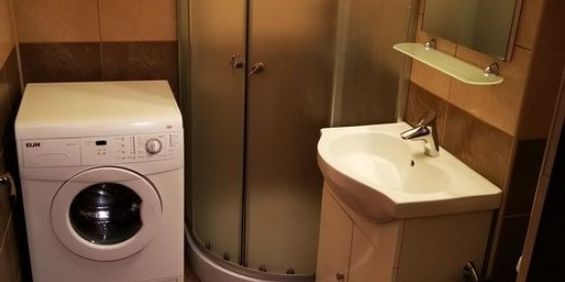 Inchiriere apartament cu o camera Buziasului - Fotografie 3