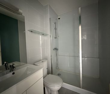 Location Appartement 1 pièce 24m² GRENOBLE 38100 - Photo 2