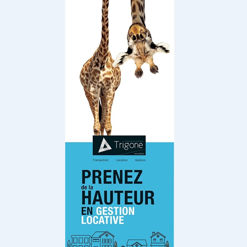 Location Appartement 1 pièce 12m² - Photo 1