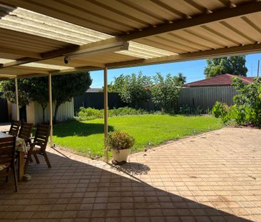 Marangaroo - Photo 5