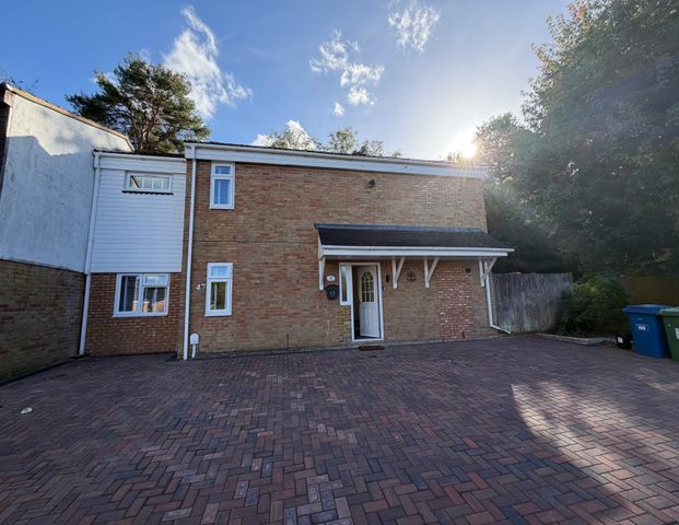 Jameston Room 3 - Marlow - Photo 1