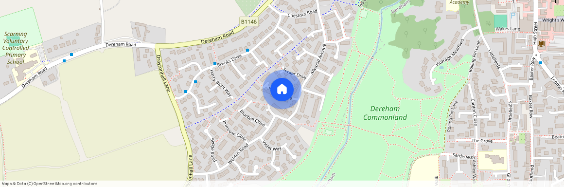 Wright Drive, Dereham, Scarning