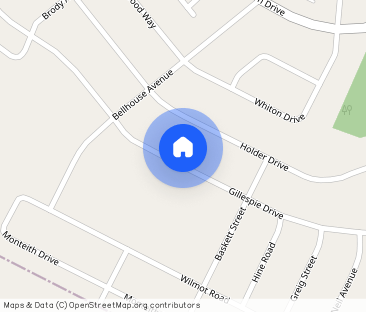 257 GILLESPIE DRIVE - Photo 1