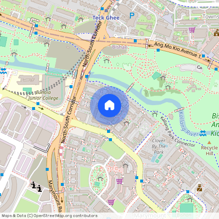 249 Bishan Street 22 (570249), Singapore
