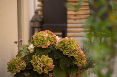 Exercisgatan 1 B - Foto 4