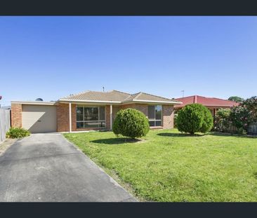 Neat & Tidy 3-Bedroom Brick Home - Photo 3