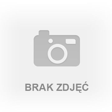 Brzoza - Photo 1