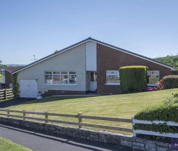 11 Ashley Gardens, Armagh, BT60 1HF - Photo 1