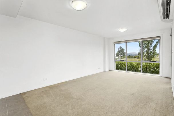 Unit 87/41 Philip Hodgins Street, Wright. - Photo 1