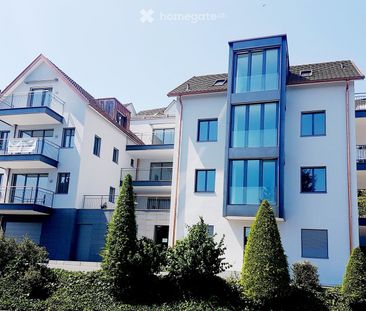Moderne 3.5-Zimmer-Wohnung im Herzen von Richterswil - Photo 6